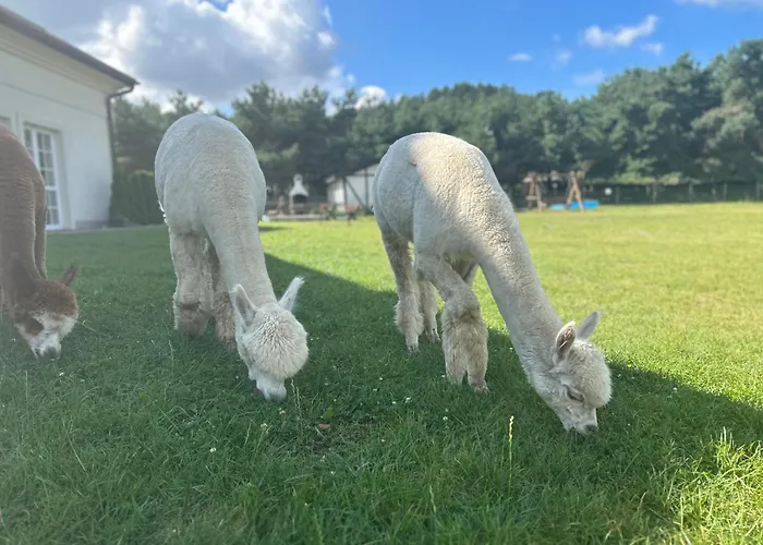 Apartmán Gora Wejherowo